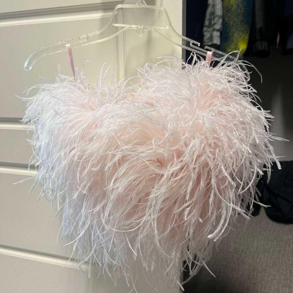 Pink ostrich feather top